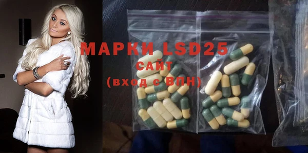 apvp Магадан