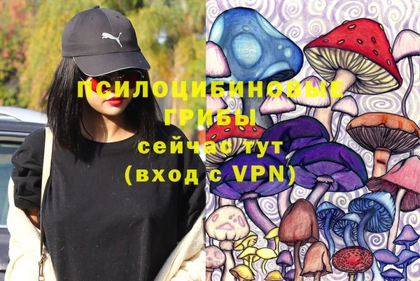 сатива Магас