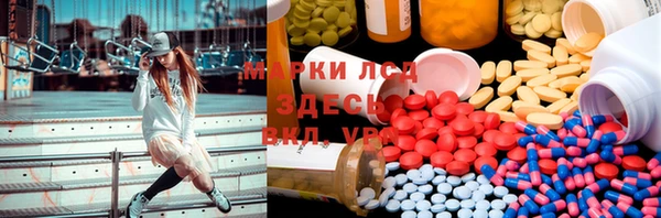 сатива Магас