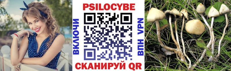 Галлюциногенные грибы Cubensis Юрга