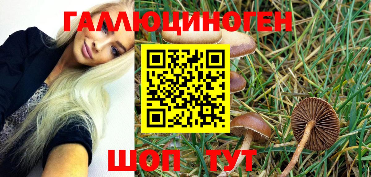 Галлюциногенные грибы GOLDEN TEACHER  Галлюциногенные грибы MAGIC MUSHROOMS  Вход с VPN  купить наркоту  Юрга 